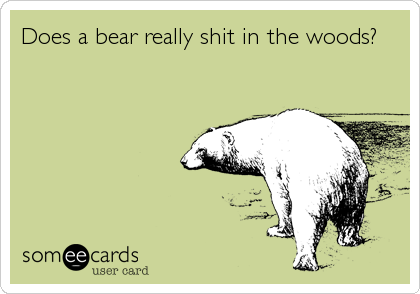 Does a bear really shit in the woods?