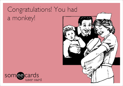 Congratulations! You had
a monkey!