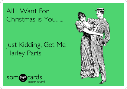 All I Want For
Christmas is You......


Just Kidding, Get Me
Harley Parts