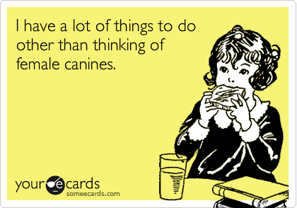I have a lot of things to do
other than thinking of
female canines.