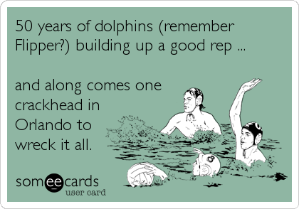 50 years of dolphins (remember
Flipper?) building up a good rep ... 

and along comes one
crackhead in
Orlando to 
wreck it all.