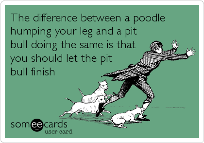 The difference between a poodle
humping your leg and a pit
bull doing the same is that
you should let the pit
bull finish