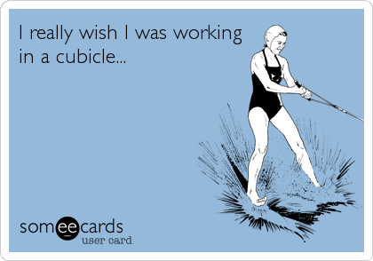I really wish I was working
in a cubicle...