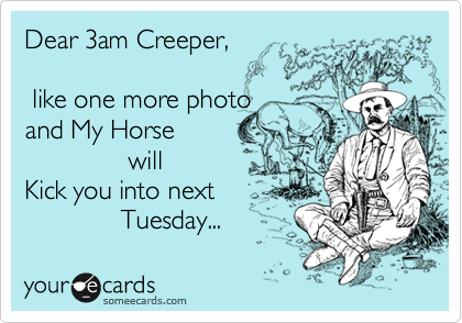 Dear 3am Creeper,

 like one more photo
and My Horse
              will
Kick you into next
             Tuesday...