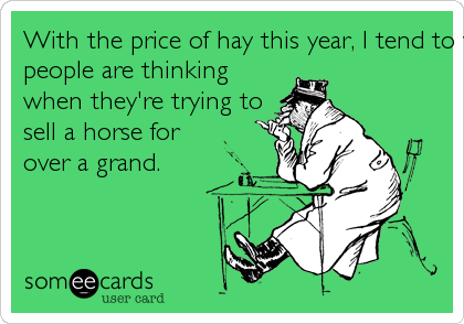 With the price of hay this year, I tend to wonder what
people are thinking
when they're trying to
sell a horse for
over a grand.
