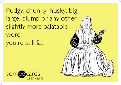 Pudgy, chunky, husky, big,
large, plump or any other
slightly more palatable
word--
you're still fat.