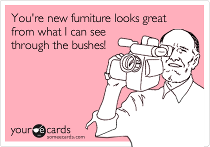 You're new furniture looks great from what I can see
through the bushes!