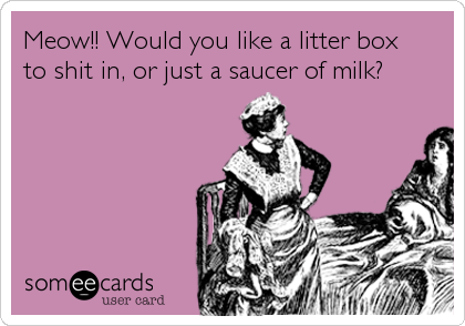 Meow!! Would you like a litter box
to shit in, or just a saucer of milk?