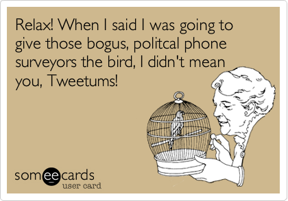 Relax! When I said I was going to give those bogus, politcal phone surveyors the bird, I didn't mean you, Tweetums!