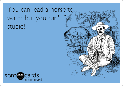 You can lead a horse to
water but you can't fix
stupid!