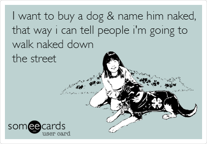 I want to buy a dog & name him naked,
that way i can tell people i'm going to
walk naked down
the street
