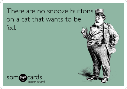 There are no snooze buttons
on a cat that wants to be
fed.