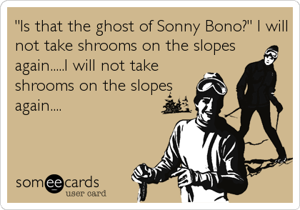 "Is that the ghost of Sonny Bono?" I will
not take shrooms on the slopes
again.....I will not take
shrooms on the slopes
again....