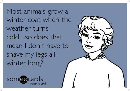 Most animals grow a
winter coat when the
weather turns
cold.....so does that
mean I don't have to
shave my legs all
winter long?