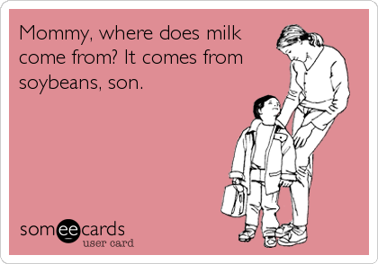 Mommy, where does milk
come from? It comes from
soybeans, son.