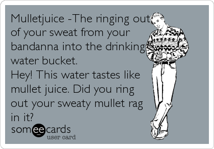 Mulletjuice -The ringing out
of your sweat from your
bandanna into the drinking
water bucket.
Hey! This water tastes like
mullet juice. Did you ring
out your sweaty mullet rag
in it?