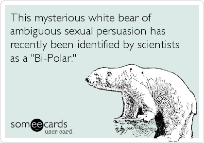 This mysterious white bear of
ambiguous sexual persuasion has
recently been identified by scientists  
as a "Bi-Polar."
