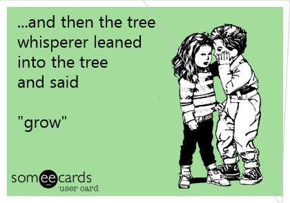 ...and then the tree
whisperer leaned
into the tree
and said

"grow"