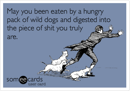 May you been eaten by a hungry pack of wild dogs and digested into the shit you truly are.