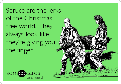 Spruce are the jerks
of the Christmas
tree world. They
always look like
they're giving you
the finger.