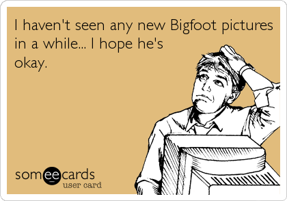 I haven't seen any new Bigfoot pictures
in a while... I hope he's
okay.