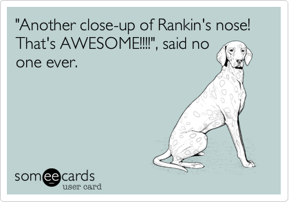 "Another close-up of Rankin's nose!   That's AWESOME!!!!", said no
one ever.