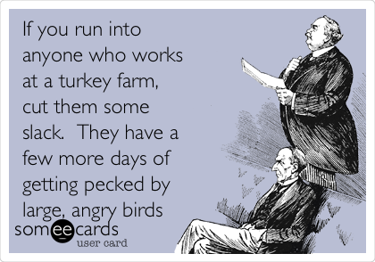 If you run into
anyone who works
at a turkey farm,
cut them some
slack.  They have a
few more days of
getting pecked by
large, angry birds