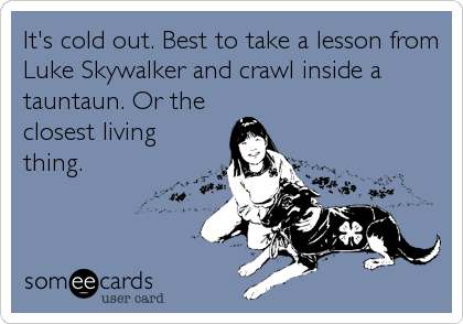 It's cold out. Best to take a lesson from
Luke Skywalker and crawl inside a
tauntaun. Or the 
closest living
thing.