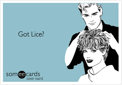 


      Got Lice?