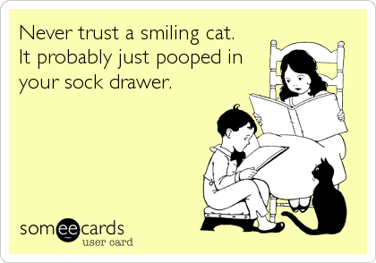 Never trust a smiling cat. 
It probably just pooped in
your sock drawer.