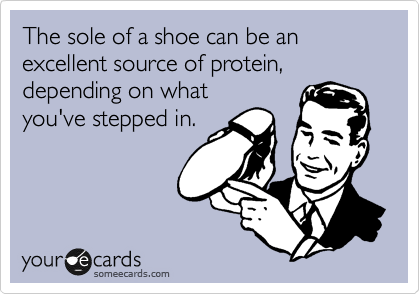 The sole of a shoe can be an excellent source of protein, depending on what
you've stepped in.