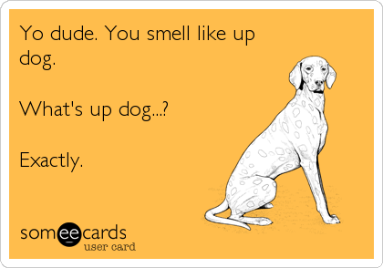 Yo dude. You smell like up
dog.

What's up dog...? 

Exactly.