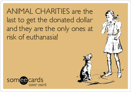 ANIMAL CHARITIES are the
last to get the donated dollar
and they are the only ones at
risk of euthanasia!