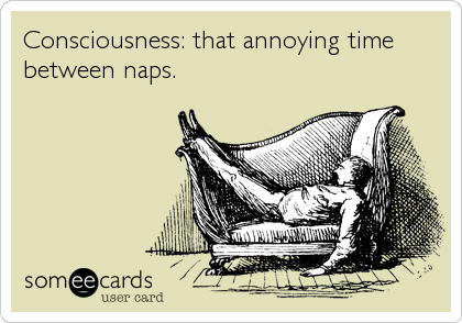 Consciousness: that annoying time
between naps.