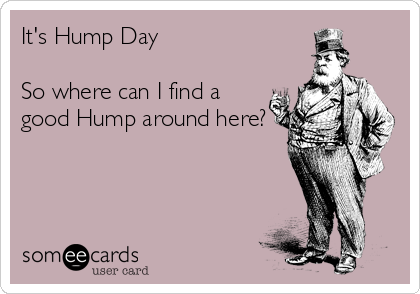 It's Hump Day

So where can I find a
good Hump around here?