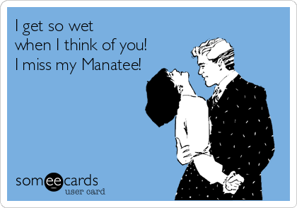 I get so wet
when I think of you!
I miss my Manatee!