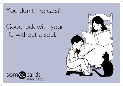You don't like cats?

Good luck with your
life without a soul.