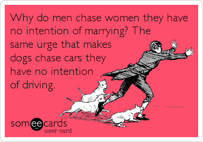 Why do men chase women they have
no intention of marrying? The
same urge that makes
dogs chase cars they
have no intention
of driving.