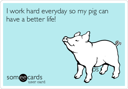 I work hard everyday so my pig can
have a better life! 





                                          bs