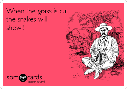 When the grass is cut,
the snakes will 
show!!