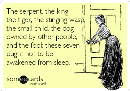 The serpent, the king,
the tiger, the stinging wasp,
the small child, the dog
owned by other people,
and the fool: these seven
ought not to be
awakened from sleep.