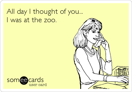 All day I thought of you...
I was at the zoo.