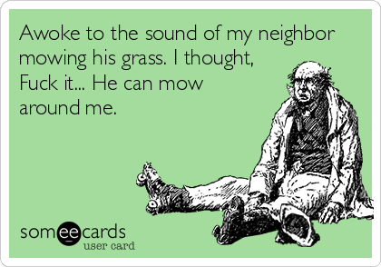 Awoke to the sound of my neighbor
mowing his grass. I thought,
Fuck it... He can mow
around me.