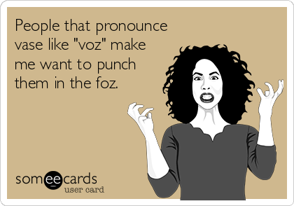 People that pronounce
vase like "voz" make
me want to punch
them in the foz.
