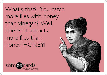 What's that? 'You catch
more flies with honey
than vinegar'? Well,
horseshit attracts
more flies than
honey, HONEY!