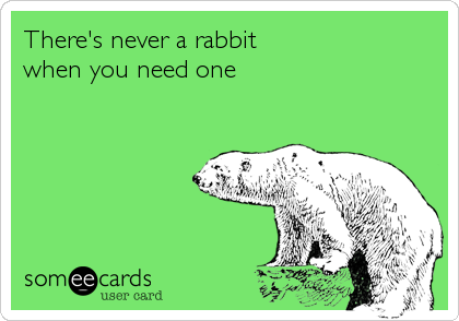 There's never a rabbit 
when you need one