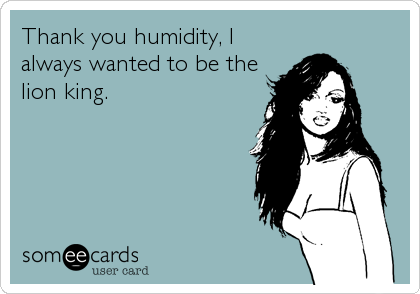 Thank you humidity, I
always wanted to be the
lion king.