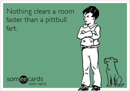 Nothing clears a room
faster than a pittbull
fart.