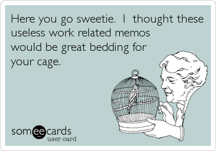 Here you go sweetie.  I  thought these
useless work related memos 
would be great bedding for
your cage.