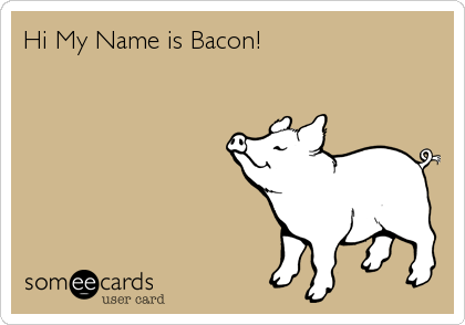Hi My Name is Bacon!